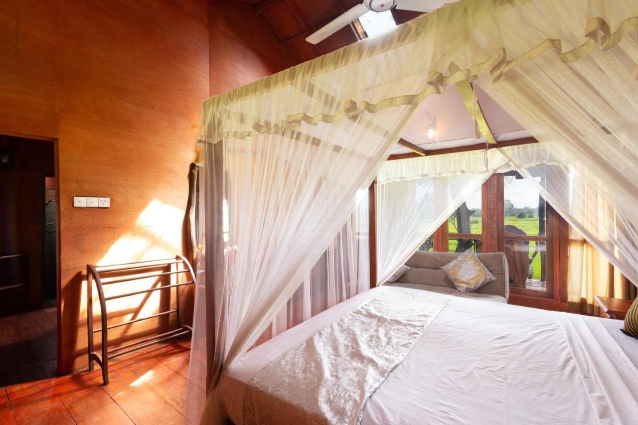 Villa The Hideout Sigirîya Extérieur photo